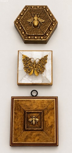 Collezione api museo - collezione, da
