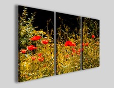 Quadri con fiori Papaveri stampe campo di papavero rosso