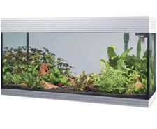 ACQUARIO NOVITA' ASKOLL PURE