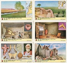 Figurine Lavazza serie n°261