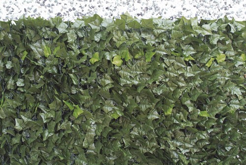Verdelook sempreverde point - sempreverde®,
