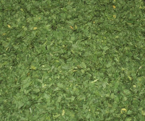 Prezzemolo secco sicilia - secco, (