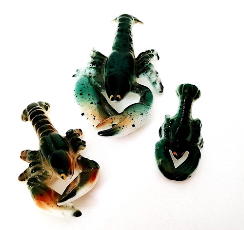 Aragoste lobster family - aragoste,