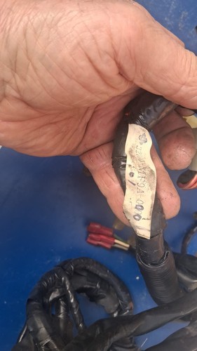 Cablaggio elettrico honda - elettrico,