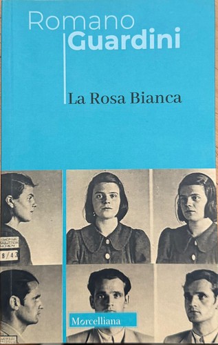 Rosa bianca romano guardini - bianca,