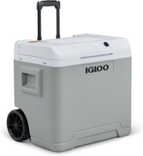 IE42 Frigo Elettrico, 12V E