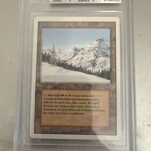 Taiga bgs becket dual - bgs,