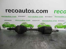 semiasse anteriore sinistra