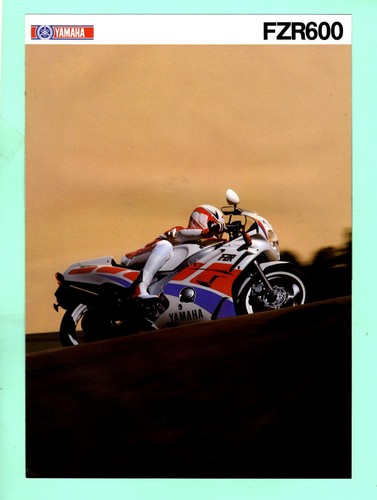 Prospectus brochure - prospectus,