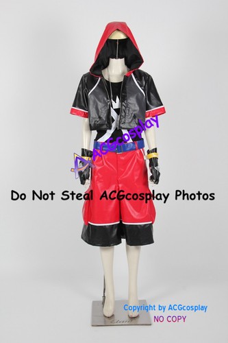 Costume cosplay kingdom - cosplay, hearts