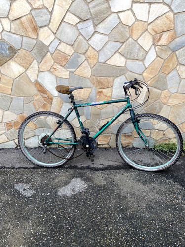 Bicicletta girardengo - bicicletta,