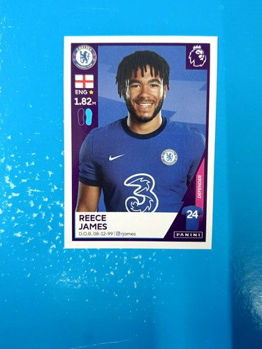 Figurina panini premier league - figurina,