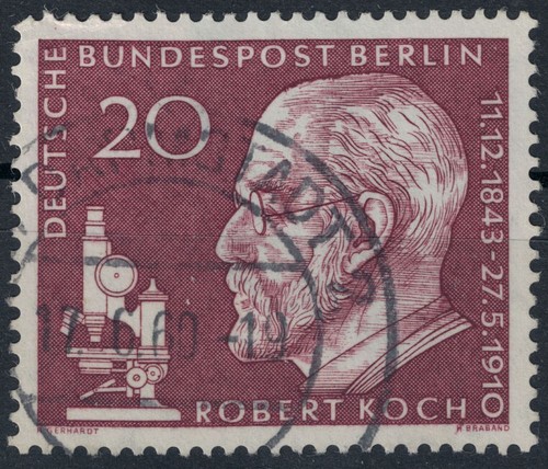 Berlino 1961 dottor - 1961, robert
