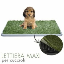 x Lettiera Maxi Cucciolo Cane