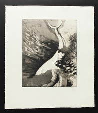 Nag Arnoldi - Grifone - Rara Incisione - Solo 90 esemplari, con certificato. 