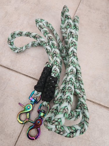 Horse reins - horse,