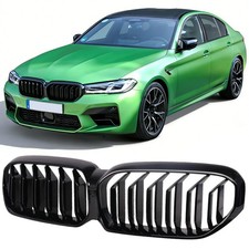 GRIGLIA RENALE GRIGLIA