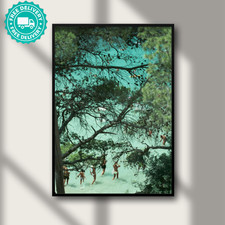 Slim Aarons Beach vicino