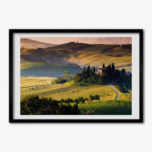 Quadro tulup mdf - quadro,