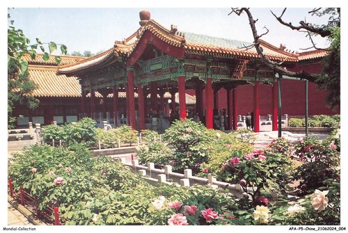 Apap5 0286 chine bi - fu,