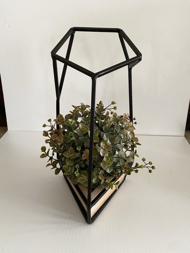 Fioriera succulenta supporto
