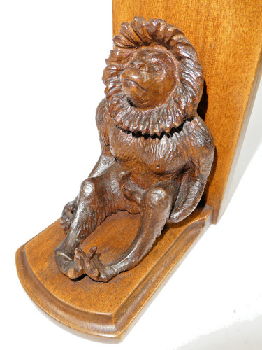 Raro gibbon scimmia - raro!,