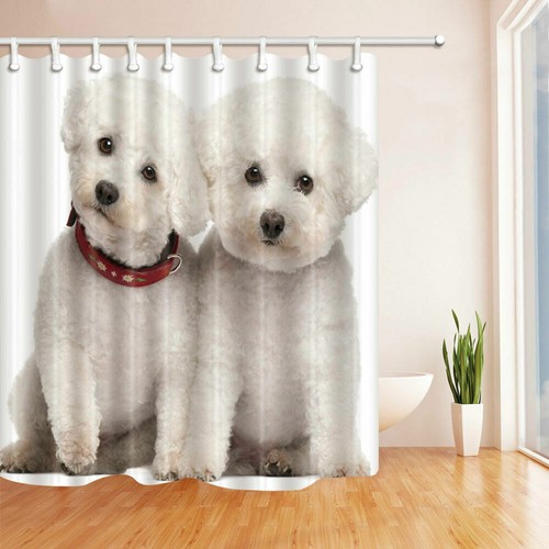 Bichon tenda doccia coppia - bichon,