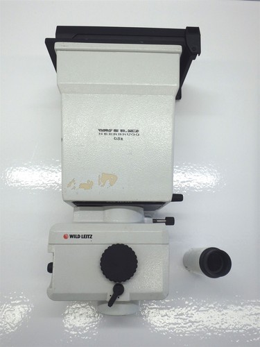 silvestri camera