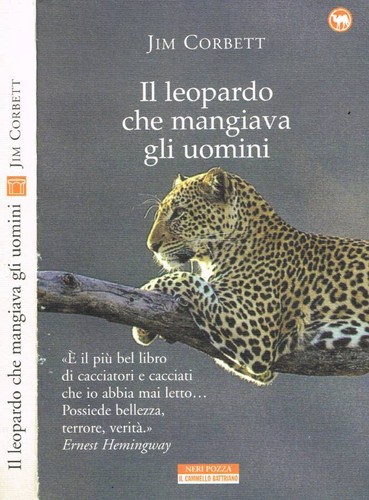 Leopardo che mangiava - leopardo,
