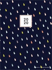 Agenda 2020 due pagine per