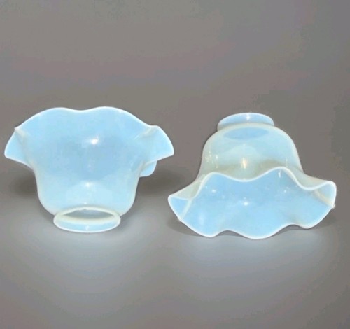 Coppia paralume lampada
