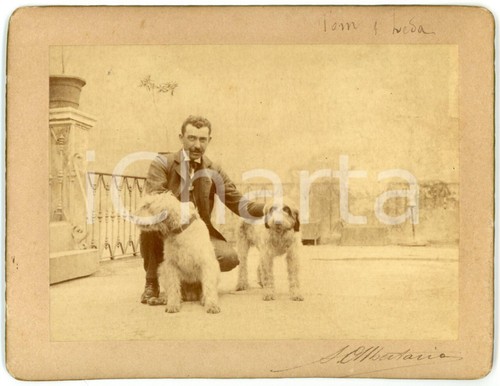 1900 lombardia ritratto di - ritratto,