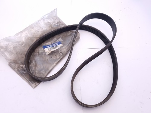 Cinghia costine nuova - costine,
