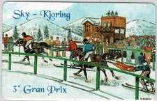 1995 SCHEDA TELEFONICA SKY