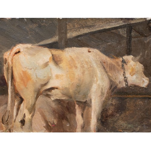 Anton braith mucca - anton, nella