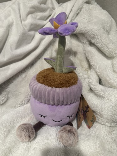 Squishmallows orchidea aster - orchidea,