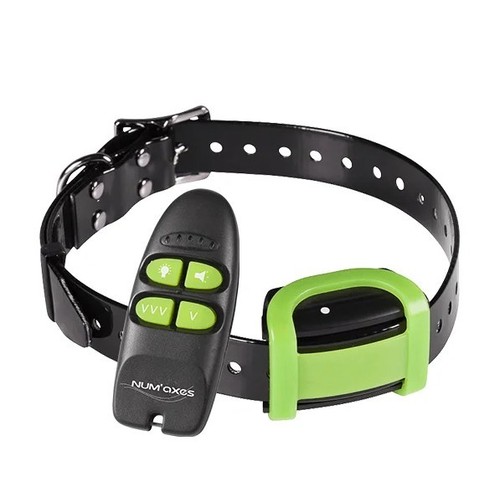 Kit addestramento numaxes - addestramento,
