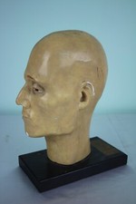 Modello Anatomico Didattico PARAVIA Epoca 1920 Regia Università di Torino