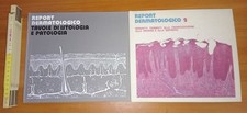 Report Dermatologico (2