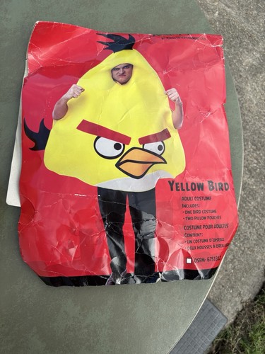 Costume uccellino giallo - costume,