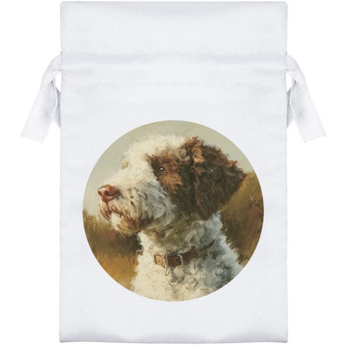 Lagotto romagnolo ritratto - 'lagotto,
