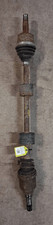 46308229 semialbero ant - 46308229,