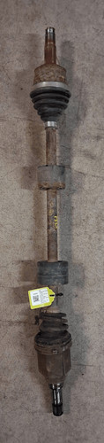 46308229 semialbero ant - semialbero,