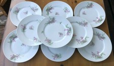 Antico servizio 9 piatti piani