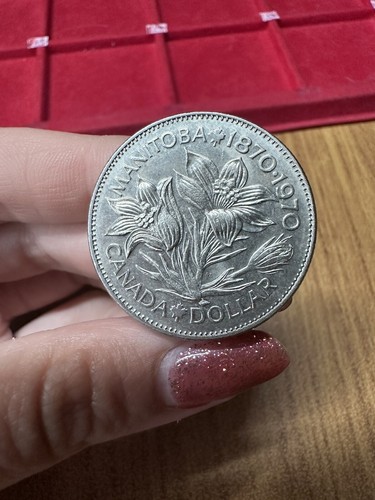 Moneta canada dollaro - 1,