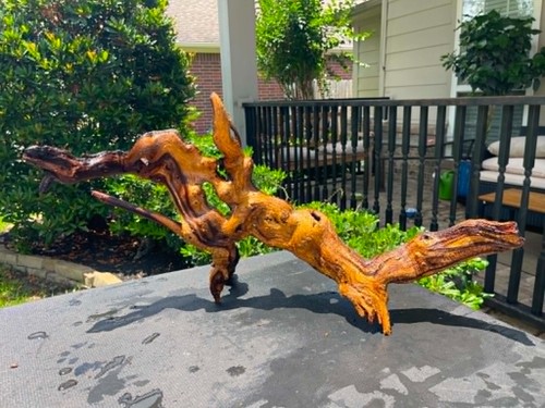 Driftwood mopani acquari pesci - driftwood,