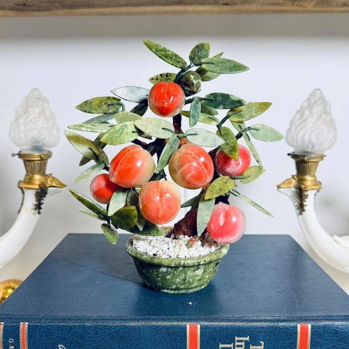 Bonsai giada vintage con - bonsai, di