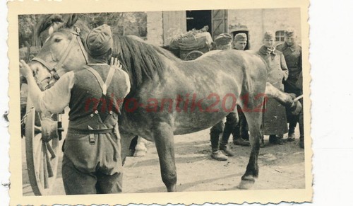 Foto ww2 fronte occidentale - ww2,,