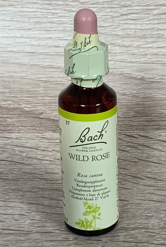 Fleurs bach wild rose - de,