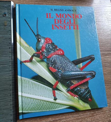 Mondo degli insetti il - il,